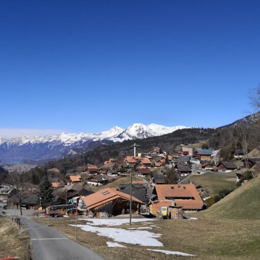 ferienwohnung berner oberland kaufen