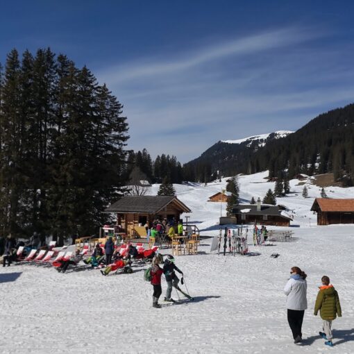 ferienwohnung berner oberland mieten